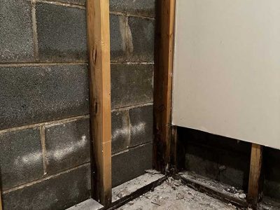 Expert Wall Framing Repair Services